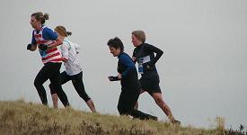 Runner Info